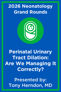 Perinatal Urinary Tract Dilation: Are We Managing It Correctly? Banner